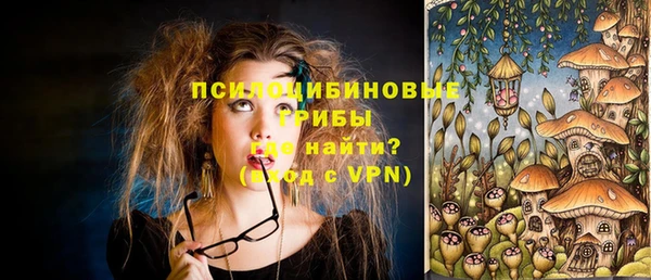 mdma Бородино