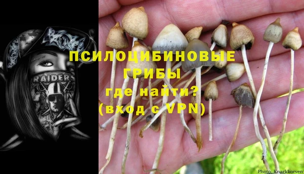 Альфа ПВП Бронницы
