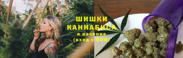 mdma Бородино